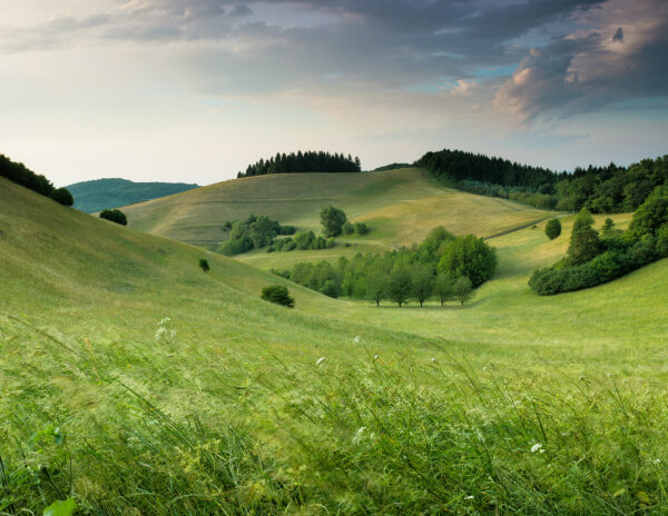Image gallery marquee