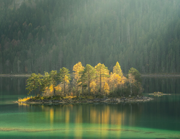 Image gallery marquee